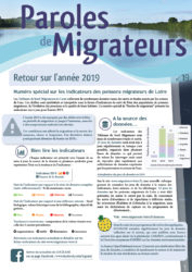 Icon of Paroles de Migrateurs N°19